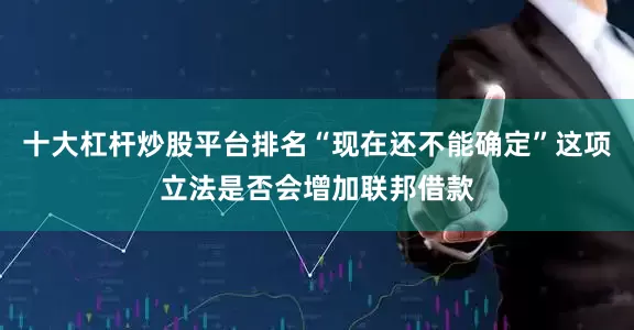 十大杠杆炒股平台排名“现在还不能确定”这项立法是否会增加联邦借款